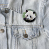 Buttons riesige Panda. Panda Geant. (Beispiel)