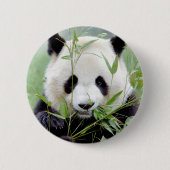 Buttons riesiger Panda. Panda Geant. (Vorderseite)