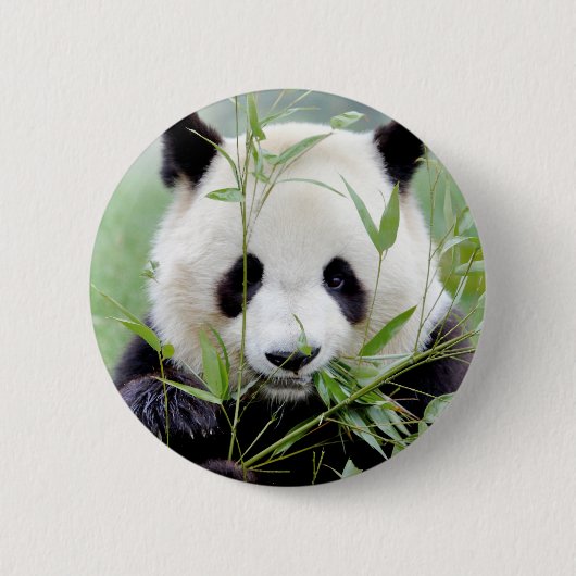 Buttons riesiger Panda. Panda Geant. (Vorderseite)