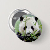 Buttons riesiger Panda. Panda Geant. (Vorne & Hinten)