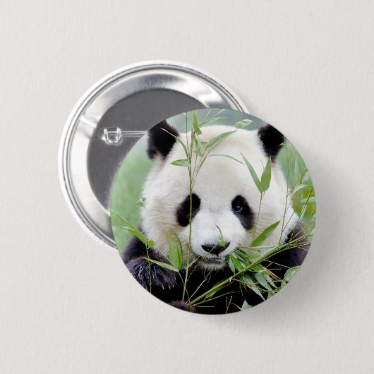 Buttons riesiger Panda. Panda Geant. (Vorne & Hinten)