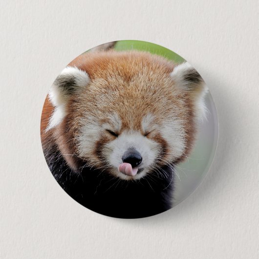 Buttons roter Panda. Panda roux. (Vorderseite)