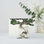 Buttonwood Bonsai Tree Postkarte (Stehend Vorderseite)