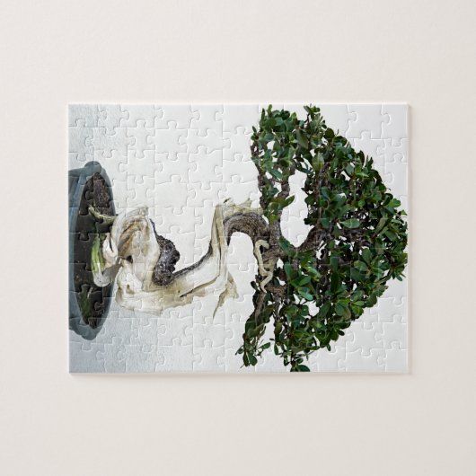 Buttonwood-Bonsais-Baum Puzzle (Horizontal)