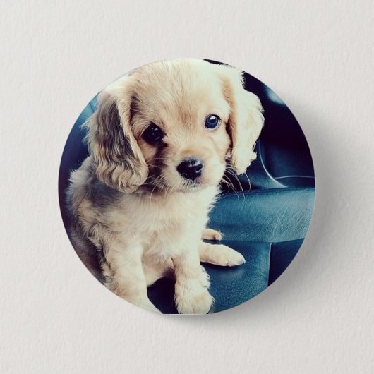 Buttonz oben! button (Vorderseite)