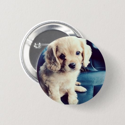 Buttonz oben! button (Vorne & Hinten)