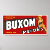 Buxom Mellons Poster (Vorne)