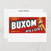 Buxom Mellons Postkarte (Vorne/Hinten)
