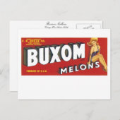 Buxom Melons Postkarte (Vorne/Hinten)