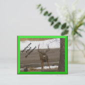 Buy for Christmas Postcard Postkarte (Stehend Vorderseite)