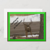 Buy for Christmas Postcard Postkarte (Vorne/Hinten)