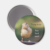 'Buy Vogel Samen' Magnet (Vorderseite/Rückseite)