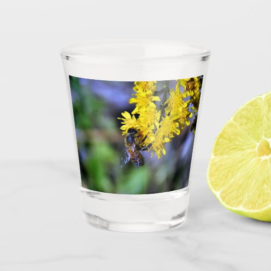 Buzz Bee Schnapsglas (Vorderseite)