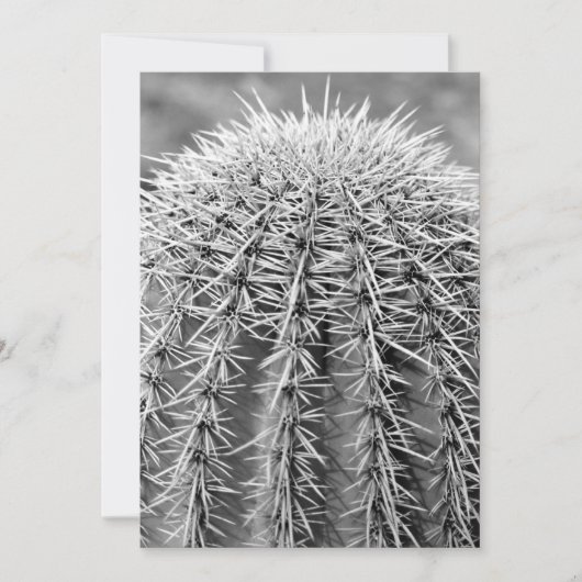 Buzz Cut Cactus (AZ Sonoran Desert) Einladung (Vorderseite)