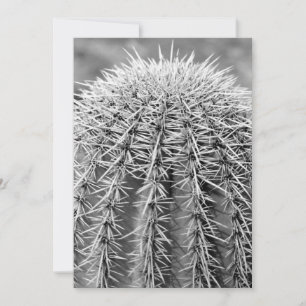 Buzz Cut Cactus (AZ Sonoran Desert) Einladung