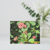 Buzz Off Postcard Postkarte (Stehend Vorderseite)