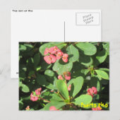 Buzz Off Postcard Postkarte (Vorne/Hinten)