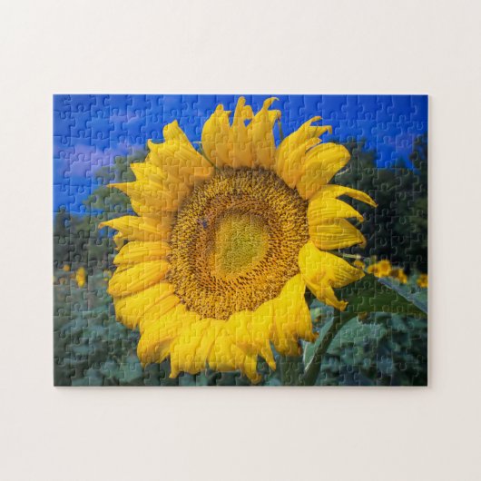 Buzz the Bee in Sunflower Puzzle (Horizontal)
