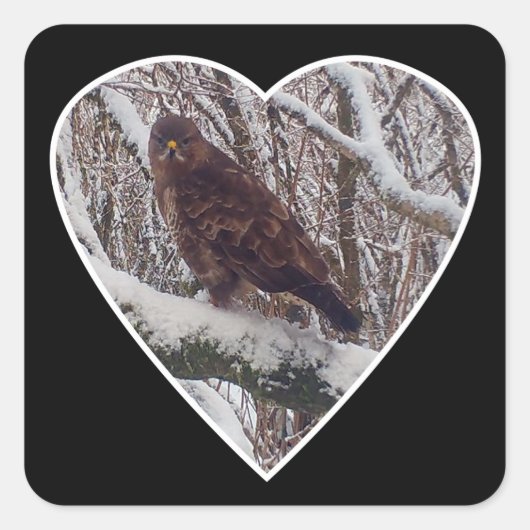 Buzzard auf dem Schneeband in Heart Sticker (Vorderseite)