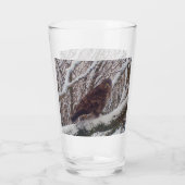 Buzzard auf der Snowy Branch Glas (Rückseite)