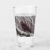 Buzzard auf der Snowy Branch Glas (Vorderseite)