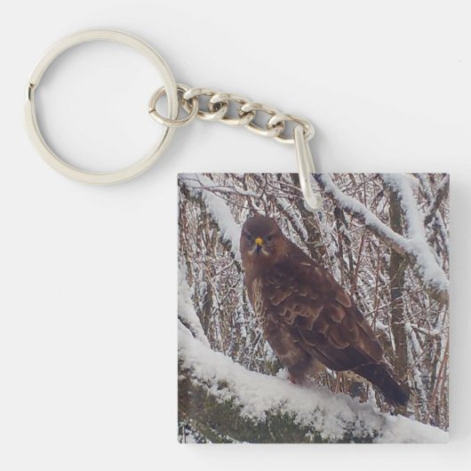Buzzard auf der Snowy Branch Schlüsselanhänger (Vorderseite)