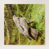 Buzzard auf der Suche nach einem Puzzle (Vertikal)
