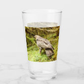 Buzzard auf der Suche nach Gruben Glas (Rückseite)