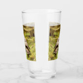 Buzzard auf der Suche nach Gruben Glas (Rechts)