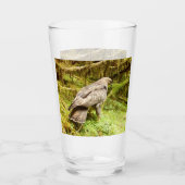 Buzzard auf der Suche nach Gruben Glas (Vorderseite)