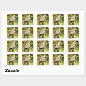 Buzzard auf der Suche nach Gruben Quadratischer Aufkleber (Blatt)