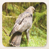 Buzzard auf der Suche nach Grubs Untersetzer (Vorderseite)