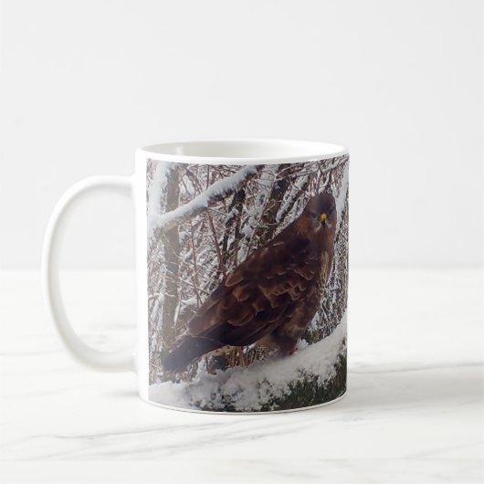 Buzzard auf der Tasse Snowy Branch (Links)