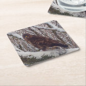 Buzzard auf Snowy Branch Untersetzer (angewinkelt)