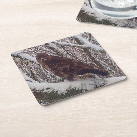 Buzzard auf Snowy Branch Untersetzer (angewinkelt)