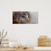 Buzzard-Bild für Poster (Küche)