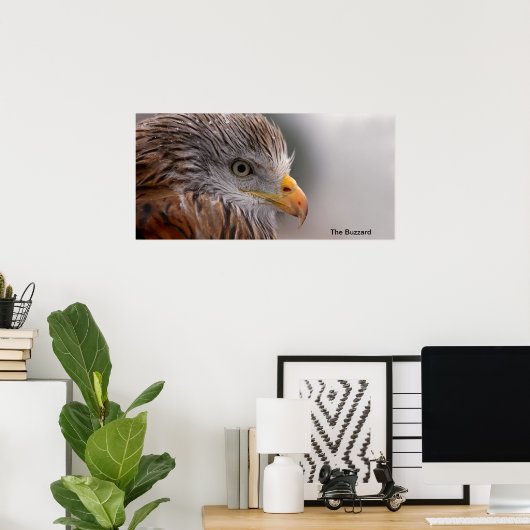 Buzzard-Bild für Poster (Heimbüro)