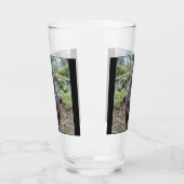 Buzzard Blick nach rechts Glas (Links)