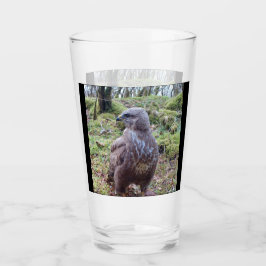 Buzzard Blick nach rechts Glas