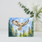 Buzzard, der über einer Farbe in einem Kiefernwald Postkarte (Stehend Vorderseite)