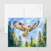 Buzzard, der über einer Farbe in einem Kiefernwald Postkarte (Vorne/Hinten)