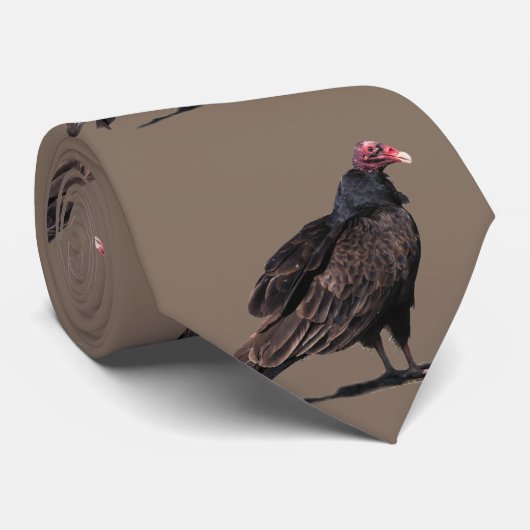 BUZZARD KRAWATTE (Gerollt)