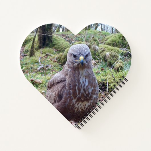 Buzzard mit Attitude Header Notebook Notizblock (Rückseite)