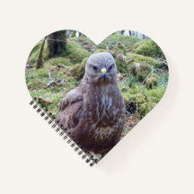 Buzzard mit Attitude Header Notebook