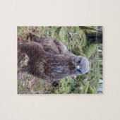Buzzard mit Attitude Jigsaw Puzzle (Horizontal)