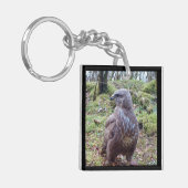 Buzzard mit Blick auf den rechten Schlüsselring (Vorderseite links)