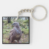 Buzzard mit Blick auf den rechten Schlüsselring (Rückseite)