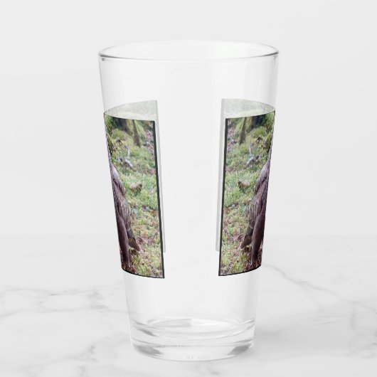 Buzzard mit Höhenlage Glas (Rechts)