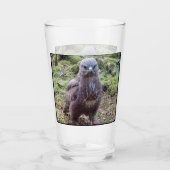 Buzzard mit Höhenlage Glas (Vorderseite)
