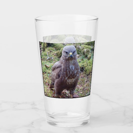 Buzzard mit Höhenlage Glas (Vorderseite)